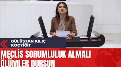 Gülüstan Kılıç Koçyiğit: Meclis Sorumluluk Almalı Ölümler Dursun