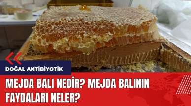 Mejda balı nedir? Mejda balının faydaları neler?