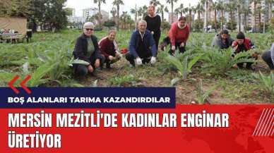 Mersin Mezitli'de kadınlar enginar üretiyor