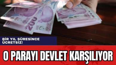 Bir yıl süresince ücretsiz! O parayı devlet karşılıyor