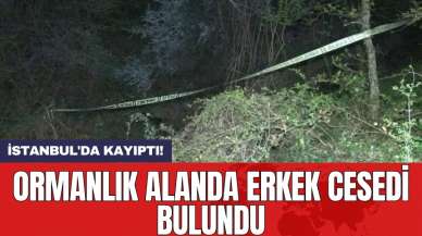 Ağaca asılı halde ormanlık alanda erkek ces*di bulundu