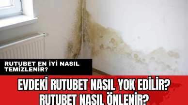 Evdeki rutubet nasıl yok edilir? Rutubet nasıl önlenir? Rutubet en iyi nasıl temizlenir?