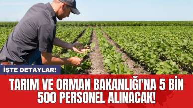 Tarım ve Orman Bakanlığı'na 5 bin 500 personel alınacak!