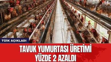 Tavuk yumurtası üretiminde yüzde 2'lik azalma