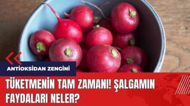 Tüketmenin tam zamanı! Şalgamın faydaları neler?