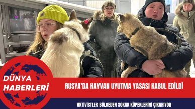 Rusya’da hayvan uyutma yasası kabul edildi