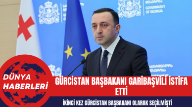 Gürcistan Başbakanı Garibaşvili istifa etti