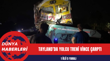 Tayland’da yolcu treni vince çarptı