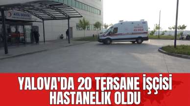 Yalova'da 20 tersane işçisi hastanelik oldu