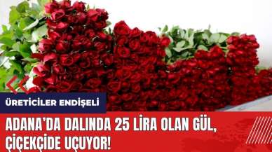 Adana'da dalında 25 lira olan gül çiçekçide uçuyor