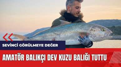 Amatör balıkçı dev kuzu balığı tuttu