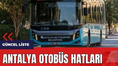 Antalya otobüs hatları