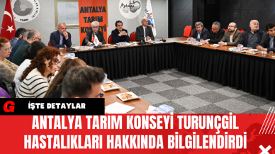 Antalya Tarım Konseyi Turunçgil Hastalıkları Hakkında Bilgilendirdi