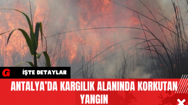 Antalya’da Kargılık Alanında Korkutan Yangın