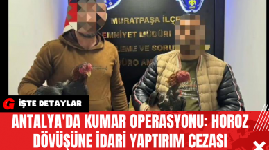 Antalya'da Kumar Operasyonu: Horoz Dövüşüne İdari Yaptırım Cezası