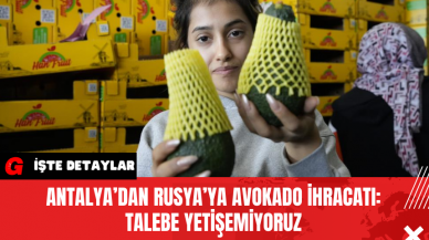 Antalya’dan Rusya’ya Avokado İhracatı: Talebe Yetişemiyoruz