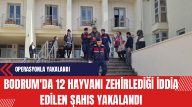 Bodrum'da 12 Hayvanı Zehirlediği İddia Edilen Şahıs Yakalandı