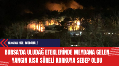 Bursa'da Uludağ Eteklerinde Meydana Gelen Yangın Kısa Süreli Korkuya Sebep Oldu