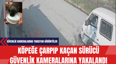 Köpeğe Çarpıp Kaçan Sürücü Güvenlik Kameralarına Yakalandı