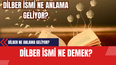 Dilber İsmi Ne Demek? Dilber İsmi Anlamı Özellikleri Analizi ve Kökeni?