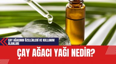 Çay Ağacı Yağı Nedir? Çay Ağacının Özellikleri ve Kullanım Alanları