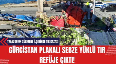 Gürcistan Plakalı Sebze Yüklü Tır Refüje Çıktı! Tır Şoförü Hayatını Kaybetti