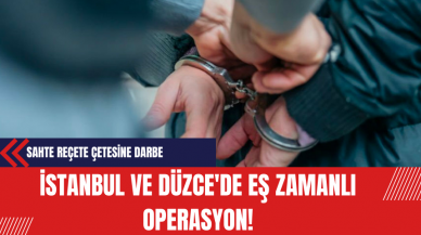 İstanbul ve Düzce'de Eş Zamanlı Operasyon: Sahte Reçete Çetesine Darbe