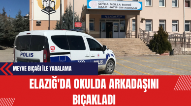 Elazığ'da Okulda Arkadaşını Bıçakladı