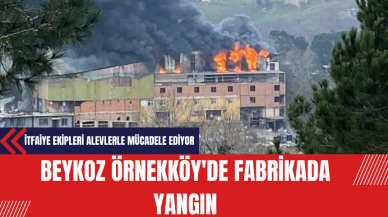 Beykoz Örnekköy'de Fabrikada Yangın: İtfaiye Ekipleri Alevlerle Mücadele Ediyor