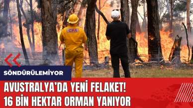 Avustralya'da yeni felaket! 16 bin hektar orman yanıyor