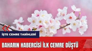 Baharın habercisi ilk cemre düştü! Cemre nedir? İşte cemre tarihleri