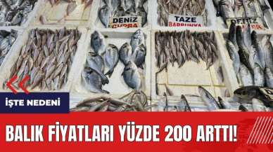 Balık fiyatları yüzde 200 arttı! İşte nedeni