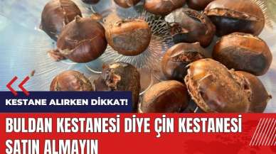 Buldan kestanesi diye Çin kestanesi satın almayın