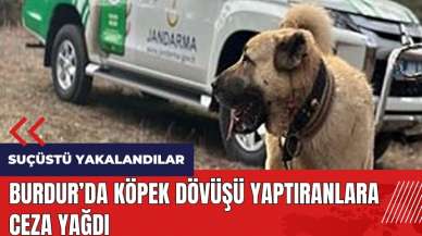 Burdur'da köpek dövüşü yaptıranlara ceza yağdı