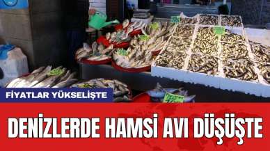 Denizlerde hamsi avı düşüşte: Fiyatlar yükselişte