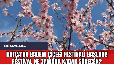 Datça'da Badem Çiçeği Festivali Başladı! Festival Ne Zamana Kadar Sürecek?