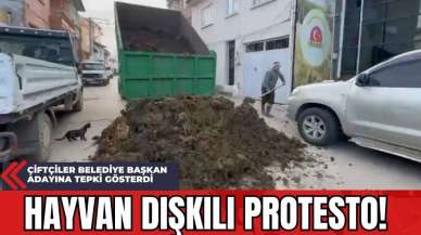 Çiftçiler Belediye Başkan Adayına Tepki Gösterdi: Hayvan Dışkılı Protesto!