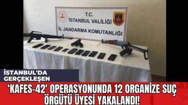 İstanbul'da Gerçekleşen "Kafes-42" Operasyonunda 12 Organize Suç Örgütü Üyesi Yakalandı