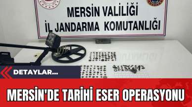 Mersin'de Tarihi Eser Operasyonu