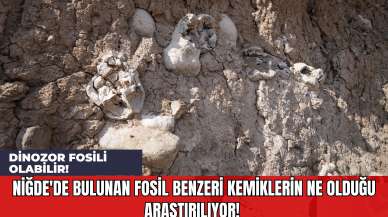 Niğde'de Bulunan Fosil Benzeri Kemiklerin Ne Olduğu Araştırılıyor! Dinozor Fosili Olabilir!