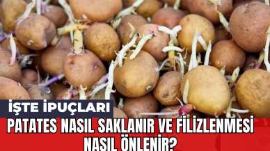 Patates Nasıl Saklanır ve Filizlenmesi Nasıl Önlenir? İşte İpuçları