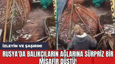 Rusya'da balıkçıların ağlarına sürpriz bir misafir düştü! İzleyin ve şaşırın!