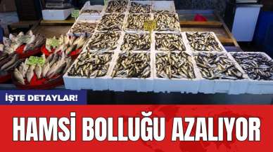 Hamsi bolluğu azalıyor