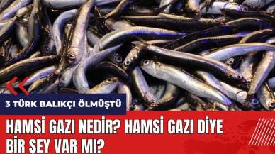 Hamsi gazı nedir? Hamsi gazı diye bir şey var mı?