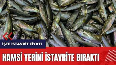 Hamsi yerini istavrite bıraktı! İşte istavrit fiyatı