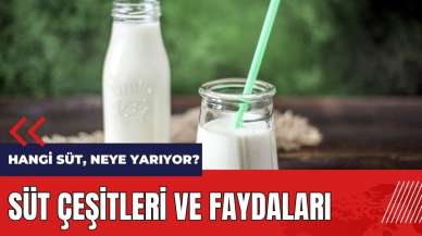 Hangi süt neye yarıyor? Süt çeşitleri ve faydaları