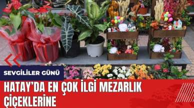 Hatay'da en çok ilgi mezarlık çiçeklerine