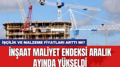 İnşaat maliyet endeksi aralık ayında yükseldi: İşçilik ve malzeme fiyatları arttı mı?