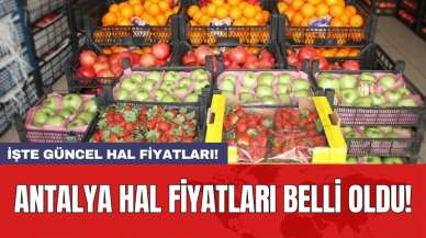 Antalya hal fiyatları belli oldu! İşte hal fiyatları 13 Haziran 2024 Perşembe