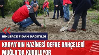 Karya'nın Hazinesi Defne bahçeleri Muğla'da kuruluyor